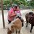 Guilda Bolivar's profile image