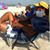 Mike Ghastin's profile image