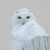 Theresa Bauer's profile image