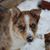 Jeffery Madeley's profile image