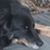 Kelley Wells Raschke's profile image