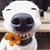 Rusty Herndon's profile image