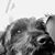 Melissa Lujan-Cardwell's profile image