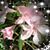 Jennifer Fredrick's profile image