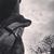 Sherry Sparks Castellanos's profile image