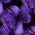 Terri Gonzalez's profile image