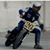 Kevin Todd's profile image