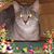 Debra Knepper's profile image