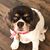 Caryn Hoffman Heaslet's profile image
