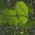 Lisa Corrales Eskridge's profile image