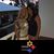 Randi Moldover-Somers's profile image