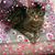 Lynne Decker's profile image
