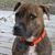 Puddin Graff's profile image