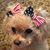 Stephanie Mule' Strohmeyer's profile image