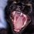 Jay McNally's profile image