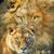 Quintis Wilson's profile image