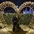 Suzi Prouty's profile image