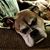 Jill Steele's profile image