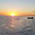 Annmarie Keener's profile image