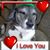 Janice Stucki's profile image