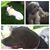 Lorrie Legg's profile image