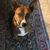 Mary Benavidez's profile image