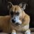 Kimberly Vidra's profile image