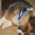 Carrie Eby's profile image