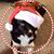 Teena Bartel's profile image