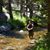 Dallas L. Peck's profile image