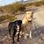 Mary Alzire Papadopoulos's profile image
