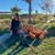 Laurane Schenevey's profile image