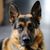 Boyd Runk's profile image