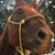 Joy Withers Reynolds's profile image