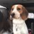 Karen MacFadden Jahnes's profile image