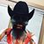 Ulysses Vargas's profile image