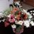 Connie Tokiwa Decena's profile image