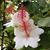 Missy Verhagen-DuFrane's profile image