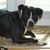 Susan J.'s profile image