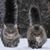 Joan Starr's profile image