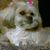 Carol Centracchio's profile image