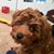 Diane Shoemaker's profile image