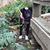 Diane Fasig's profile image