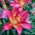 Bonita Loggins's profile image