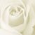 RJ Winnie's profile image