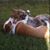Scott Ohman's profile image