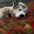 Liz Roberts's profile image