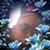 Sheritta Gough's profile image