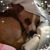Josie Kline's profile image