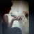 Cheryl Woods's profile image